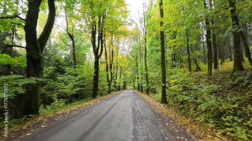 Czechia mountain autumn forest hikers POV 60fps. Czech Republic, Czechia historically Bohemia. Central Europe. Autumn fall season, brilliant colorful leaves along roads and trails. Farm rural area. 