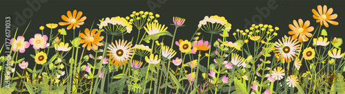 Meadow wildflower border with bouquet bunch of wild summer blossoms. Spring bush groove decoration, meadow flowers banner. Botanical floral illustration on black background