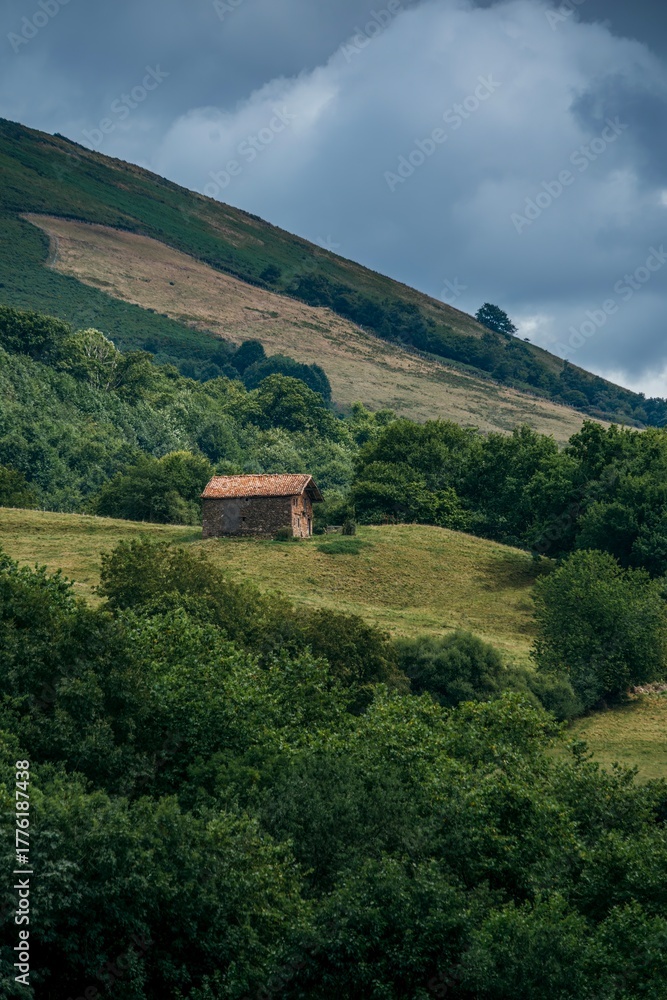 custom made wallpaper toronto digitalRustic Traditional Farmhouse with a Red Tiled Roof Nestled in the Lush Green Hills of the Baztan Valley, Navarra, Spain