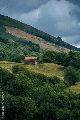Wallpaper Mural Rustic Traditional Farmhouse with a Red Tiled Roof Nestled in the Lush Green Hills of the Baztan Valley, Navarra, Spain Torontodigital.ca