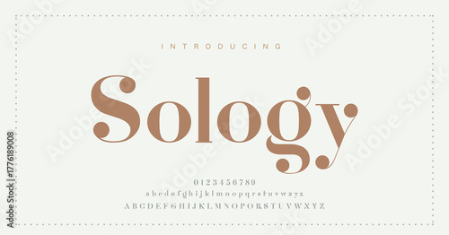 Premium luxury elegant alphabet letters and numbers. Vintage wedding typography classic serif font decorative vintage retro. creative vector illustration