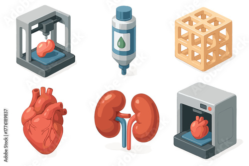 3d printing medical advances: heart and kidney models with innovative technology