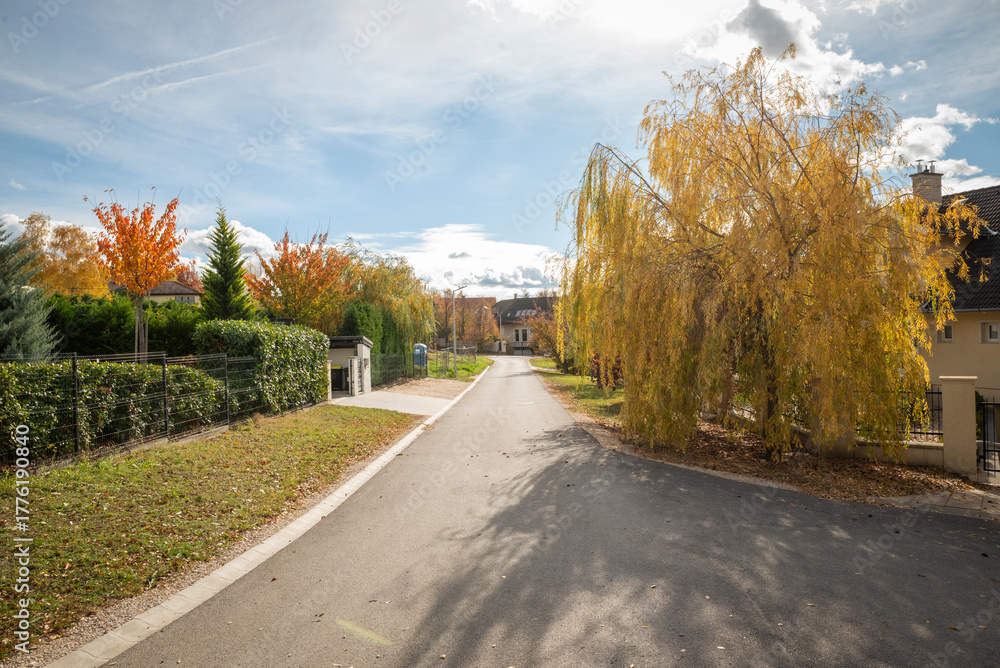Fototapeta premium Road in a residential district