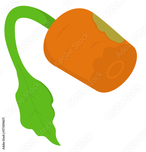 Illustration of a Organic Waste Rotten Carrot
