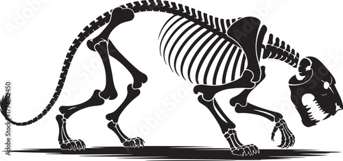 Stalking big cat skeleton illustration crawling pose detailed feline anatomy bone structure vector