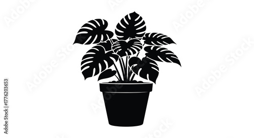 Monstera deliciosa plant in a black pot a silhouette illustration of a popular houseplant with large fenestrated leaves