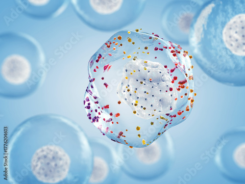 Free radicals cause oxidative stress by stealing electrons from healthy cells, damaging DNA/proteins and causing disease (like cancer). Antioxidants neutralize the radicals na protect the cells