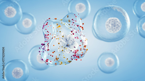 Free radicals attack cells causing oxidative stress and damaging cellular components like DNA, proteins, and lipids. Antioxidants neutralize free radicals and stop cellular damage