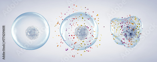 Healthy and damaged cells by free radicals at various stage. Unstable free radicals cause oxidative stress and damage DNA/proteins, promoting disease