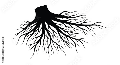 Detailed black silhouette of a tree stump with intricate spreading roots on a white background