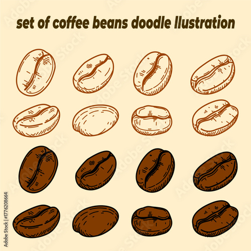 doodle illustration of coffee beans. Set of coffee beans with doodle design. Collection of coffee beans doodle style.