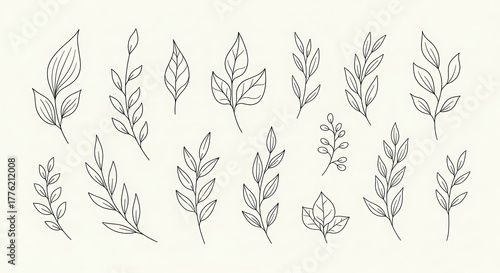 Collection of elegant hand-drawn botanical line art elements, featuring delicate leaves and branches, perfect for nature-inspired design projects, digital illustrations, and decorative accents