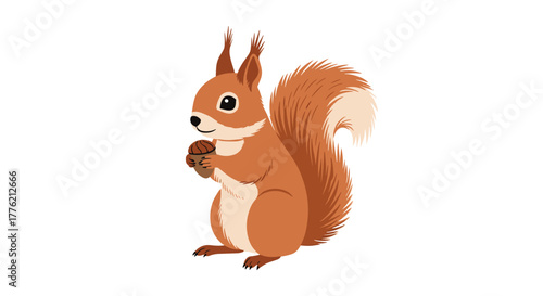A charming red squirrel with a fluffy tail holds a small acorn in its paws, looking curious and ready to eat.