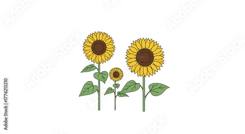 An illustration of three vibrant yellow sunflowers of different heights and sizes, with green stems and leaves, against a clean white background.