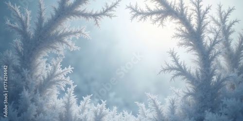 Delicate frost-covered winter branches frame a serene bright blue sky, showcasing ethereal ice patterns and tranquil natural beauty.