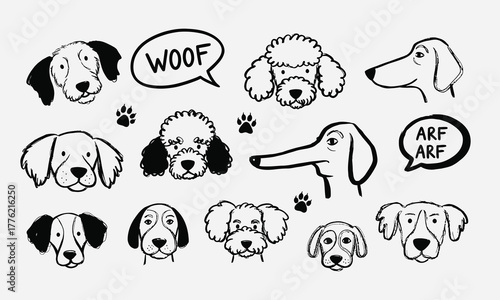 Charming collection of hand-drawn dog face illustrations. A variety of cute canine heads in a black and white doodle style