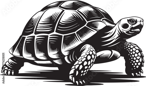 Tortoise Silhouette Illustration – Detailed Black and White Turtle Vector