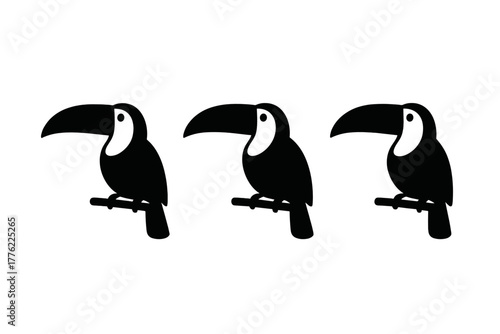 Three stylized toucans perched on branches in a simple black and white design showcasing their unique beaks and features