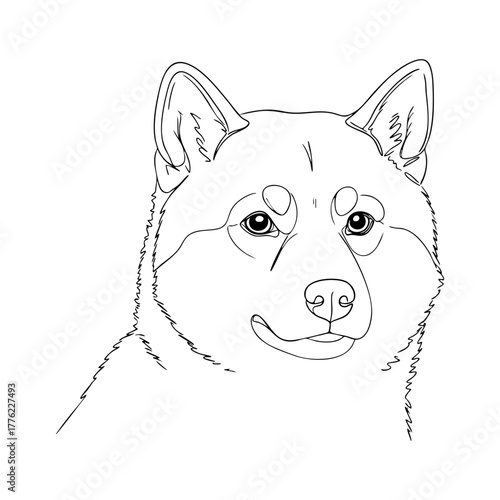 Shiba Inu dog head in clean vector line art, smiling expression of Japanese breed with upright ears and fluffy fur for modern minimalist design
