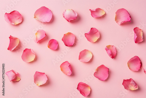 Pink Rose Petals on Soft Pink Background for Romantic Themes