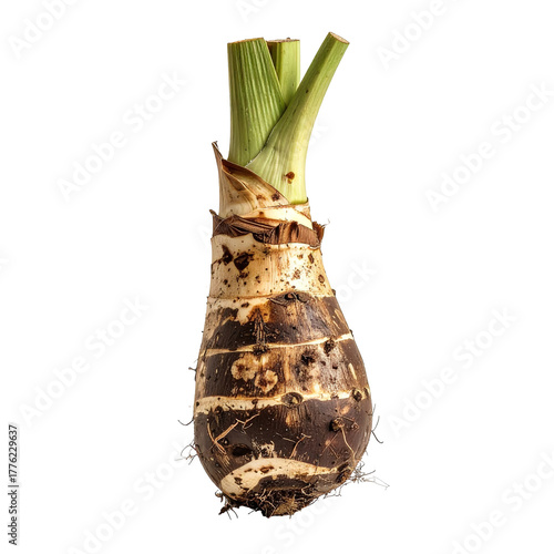 Isolated bulbous root vegetable with green stalks, brown skin, and dark shadows, clipart, isolated on a transparent background.