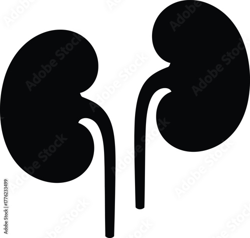 Human kidneys black silhouette icon, medical anatomy illustration