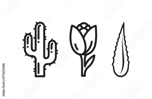 Elegant floral design featuring a single vibrant bloom with intricate petal details and a clean background