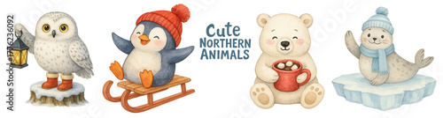 Cute northern winter animals PNG clipart — owl with lantern, penguin sledding, polar bear with hot chocolate, seal on ice — transparent background watercolor set