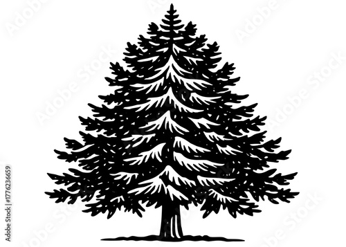 Classic evergreen pine tree vector silhouette illustration with a vintage hand drawn aesthetic