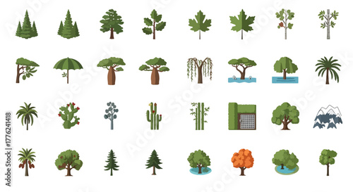 Tree Species Vector Illustration Set – Global Forest and Botanical Trees Collection for Ecology and Nature Design