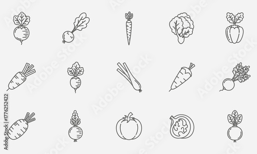 Vegetable Icons A Collection of Linear Illustrations Featuring Carrots, Beets, and More for Design