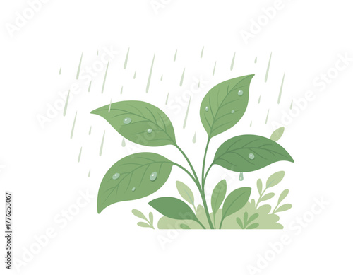 soft rain hitting leaves nature calm and freshness moment no outline flat vector illustration style isolated on white background light natural colors