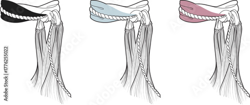 Anatomical illustration of the shoulder joint with ligaments and tendons highlighted in different colors