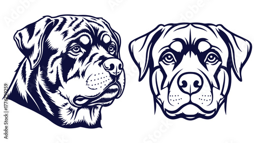 Rottweiler Front And Side Head Views, Black And White Line Art Dog Portrait Vector For Working Breed Labels And Guard Dog Graphics