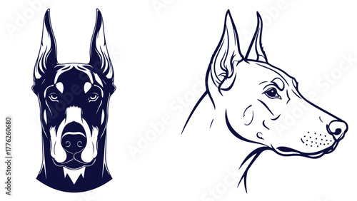 Doberman Pinscher Front And Side Head Views, Black And White Line Art Dog Portrait Vector For Security And Sport Branding