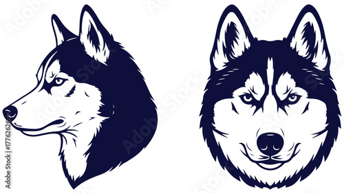 Siberian Husky Front And Side Head Views, Black And White Line Art Dog Portrait Vector For Breed Guides And Pet Branding