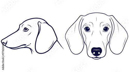 Dachshund Front And Side Head Views, Black And White Outline Dog Portrait Vector For Hound Posters And Pet Merch