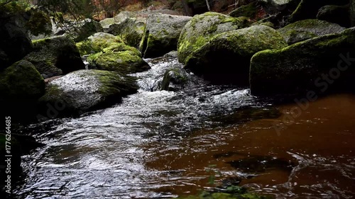 Naturbacvh Kleiner Kamp im Waldviertel Austria