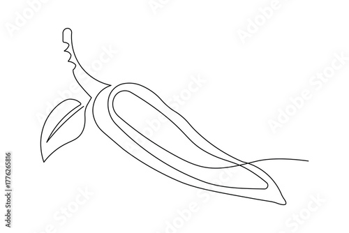 Modern Hot chili continuous one line minimalist outline artwork