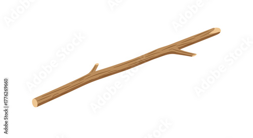 A brown tree branch with two smaller twigs extending from the main body, isolated on a white background.