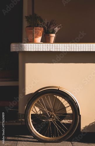Warm afternoon light falls on terracotta pots with flowers atop a vintage cart, creating a nostalgic and romantic street scene filled with charm and soft golden tones.