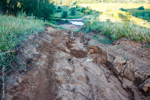 Deep rain-washed sandy gully, exhibiting severe erosion patterns through a rustic landscape. Wild grass borders steep banks leading to a small puddle below