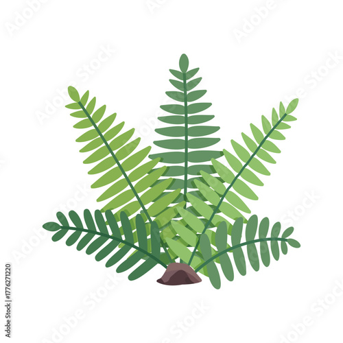 Green fern bush on white background. Vector illustration in cartoon flat style.