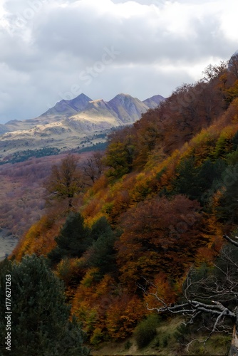 autumn in the mountains