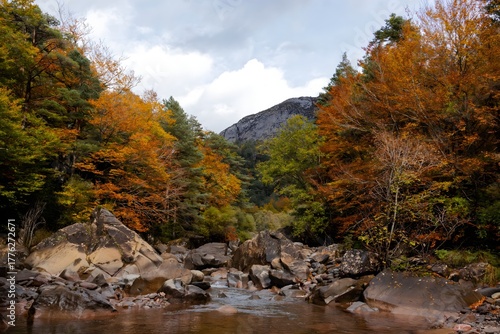 fall in the mountains