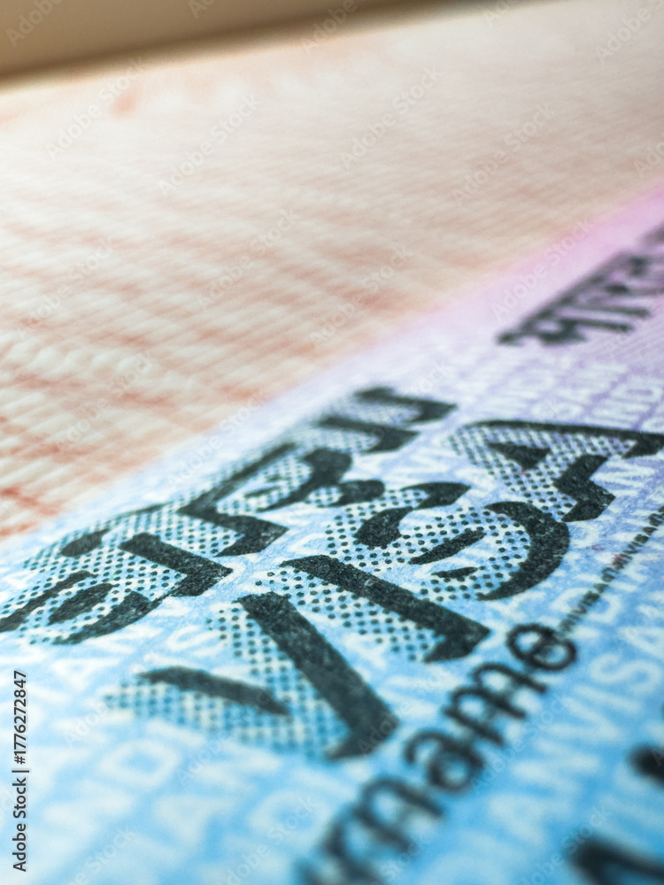 Obraz premium Visa in passport for world travel, India visa, tour, airport, customs, news, closed borders, nationality. Macro photo. High quality photo