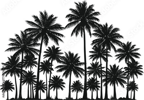Silhouette of a dense cluster of tall palm trees against a white background evoking a tropical paradise