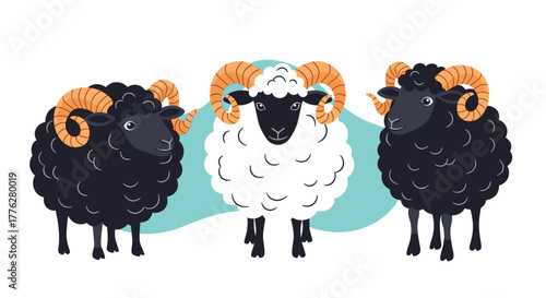 Illustration of one white sheep standing between two black sheep, representing uniqueness and standing out from the crowd.