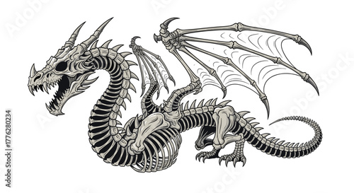 Intricate and menacing illustration of a complete dragon skeleton, showing its bony wings, sharp teeth, and spiky spine.