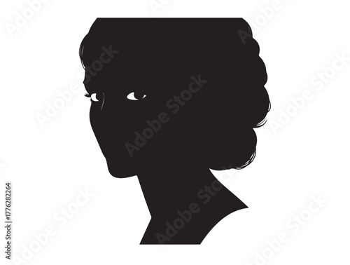 Beauty of girl hair image in silhouette.